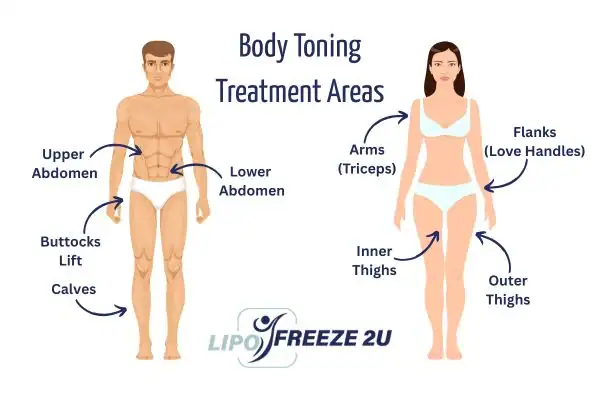Graphic showing where you can have Body toning Treatment Billingshurst on your body